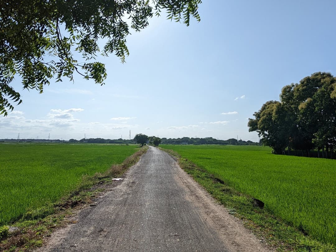 మాయమైన దారి