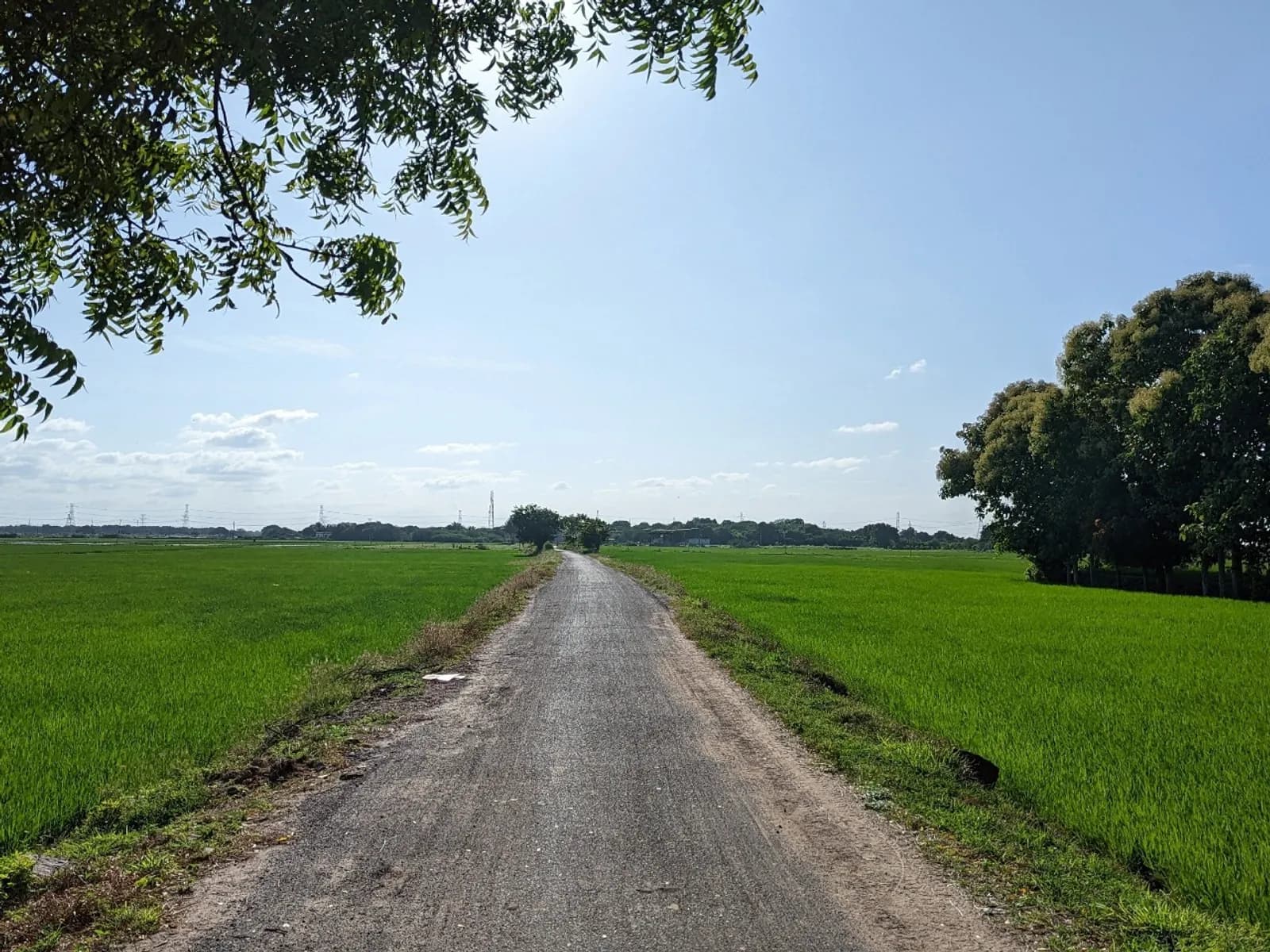 మాయమైన దారి