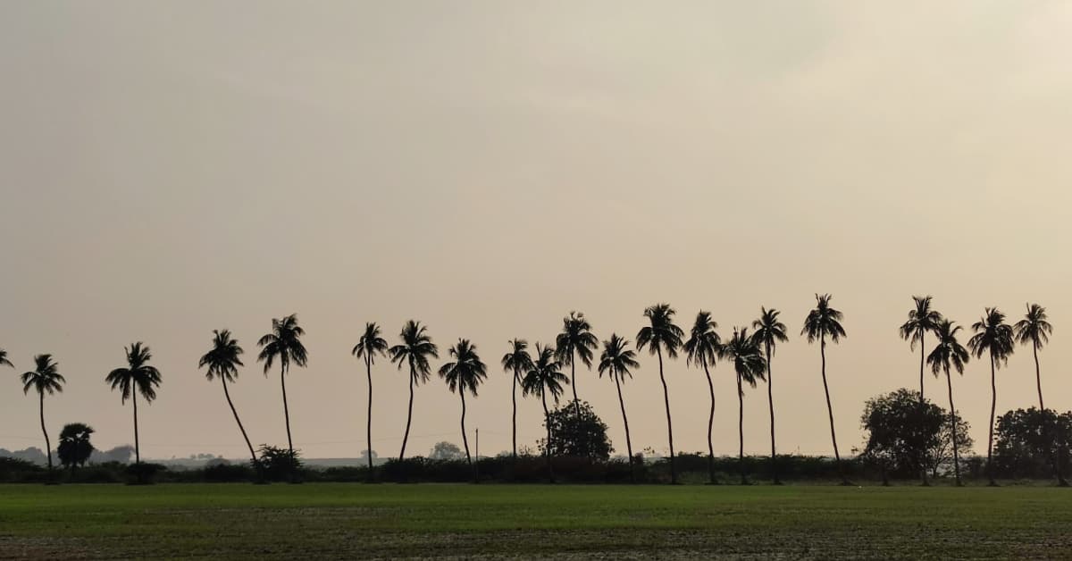 సరిపోదు శనివారం